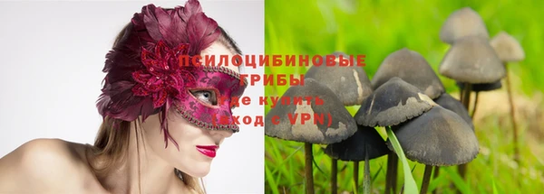 МДПВ Верея