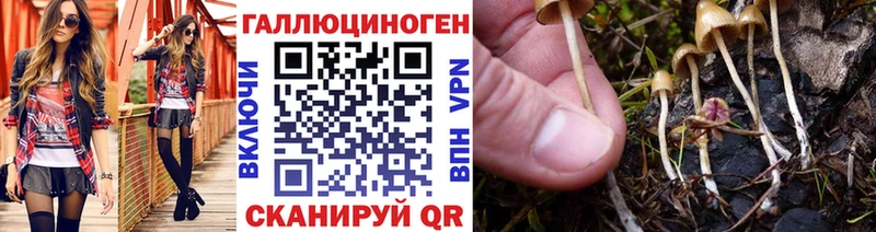 Галлюциногенные грибы Cubensis  наркотики  Ярославль 
